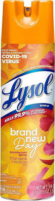 Lysol Disinfectant Spray, Brand New Day - Mango & Hibiscus, 19 Fl Oz